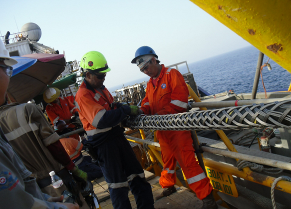 首页-PA真人集团有限公司官网