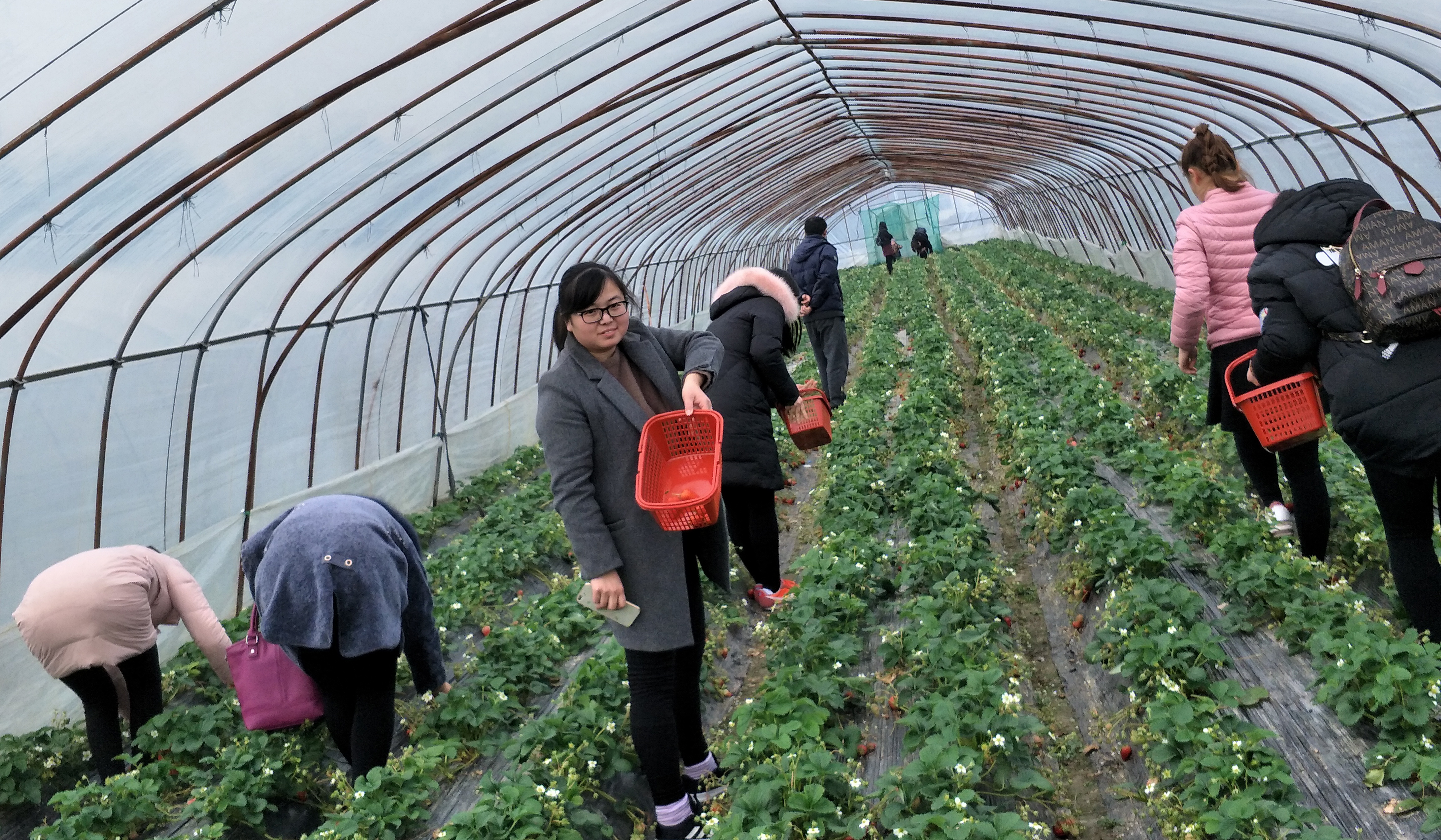 首页-PA真人集团有限公司官网