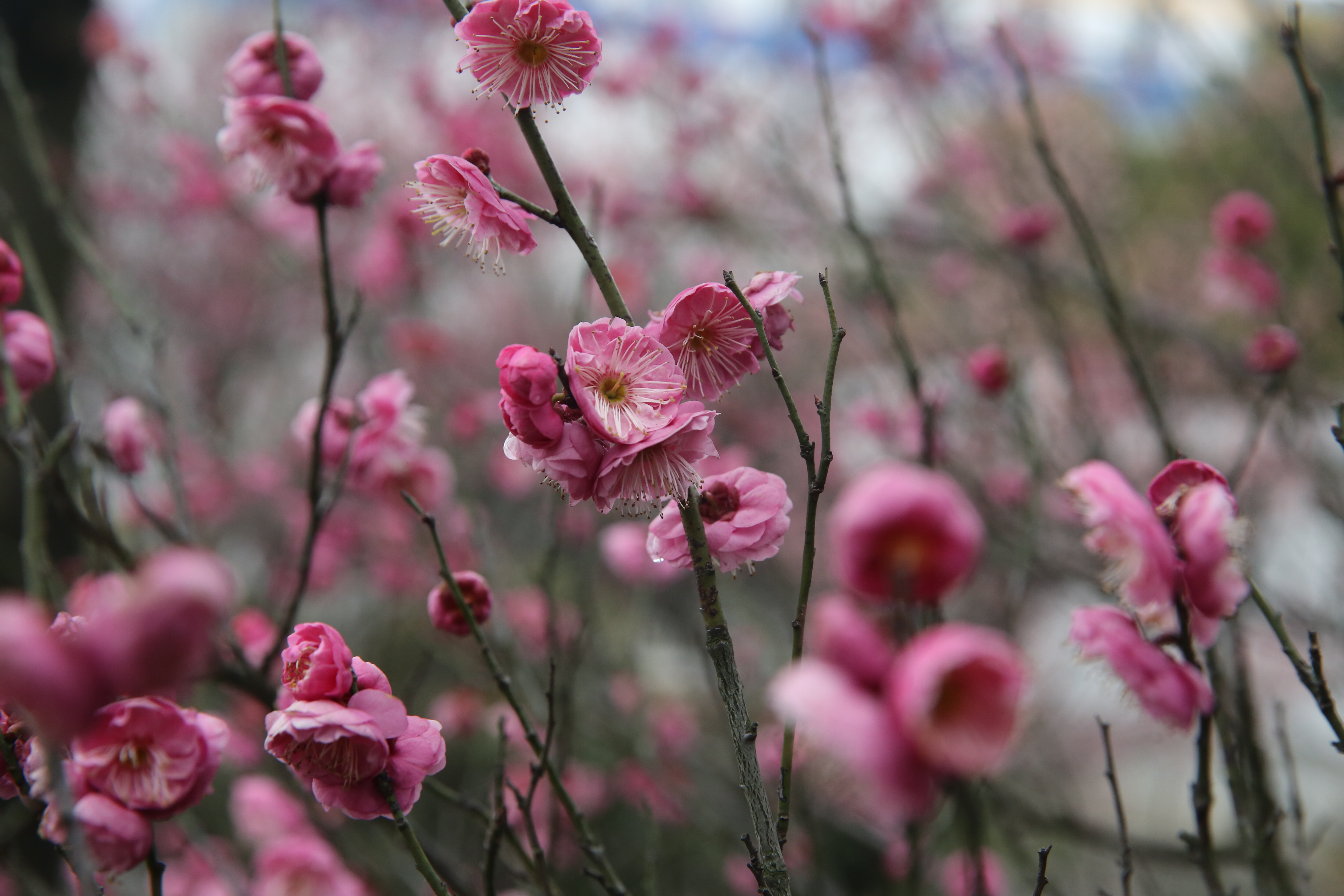 首页-PA真人集团有限公司官网
