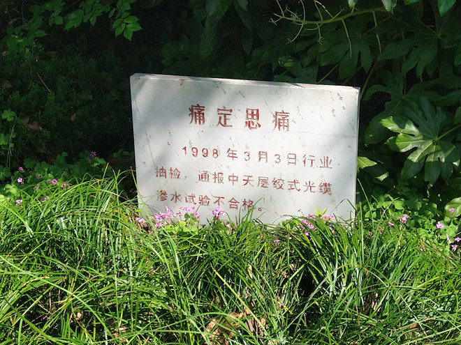 首页-PA真人集团有限公司官网