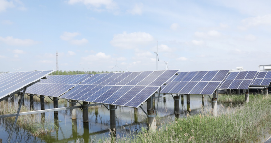 首页-PA真人集团有限公司官网
