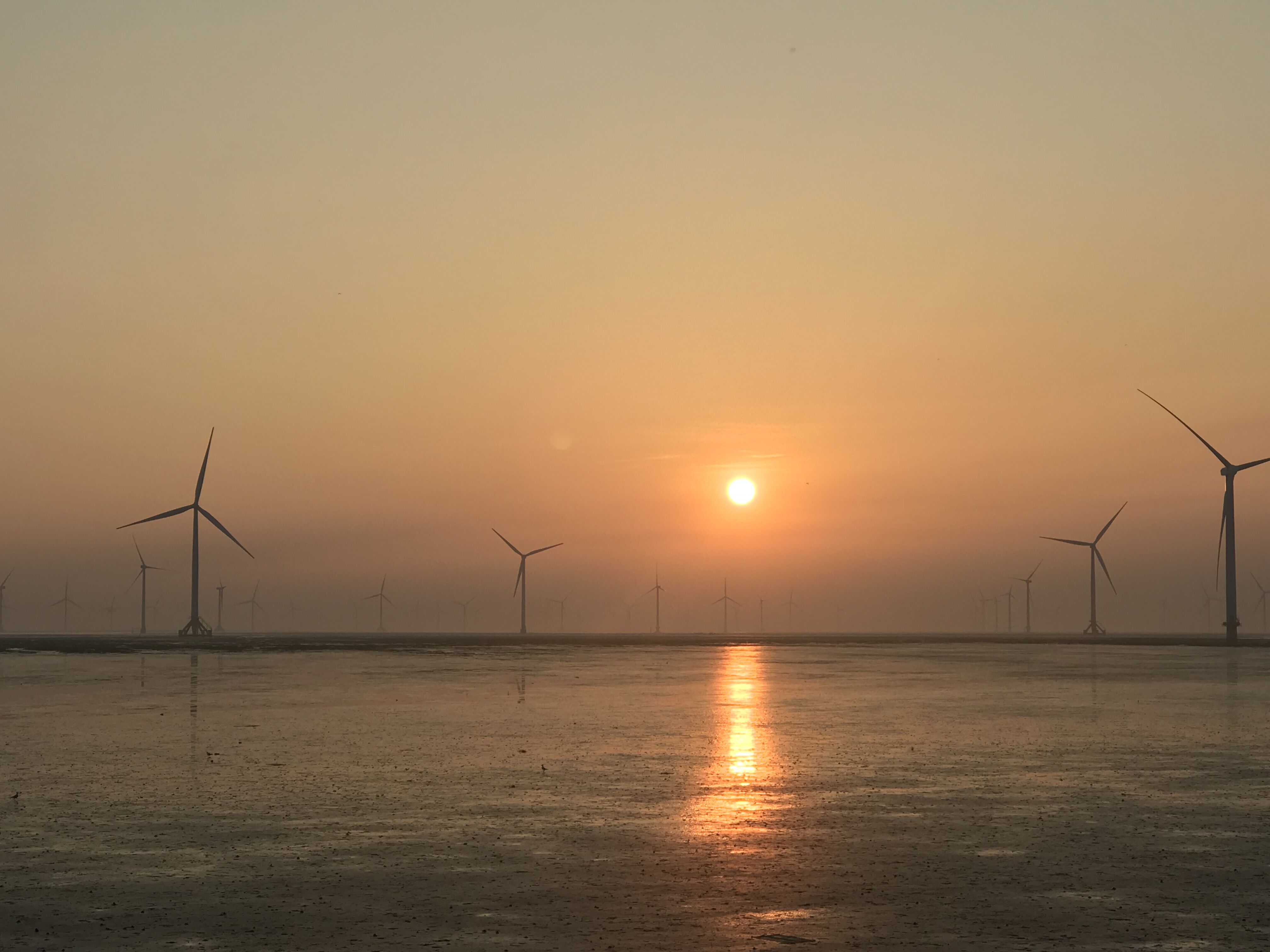 首页-PA真人集团有限公司官网