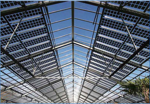 首页-PA真人集团有限公司官网