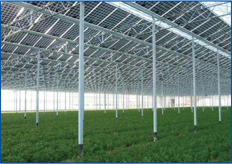 首页-PA真人集团有限公司官网