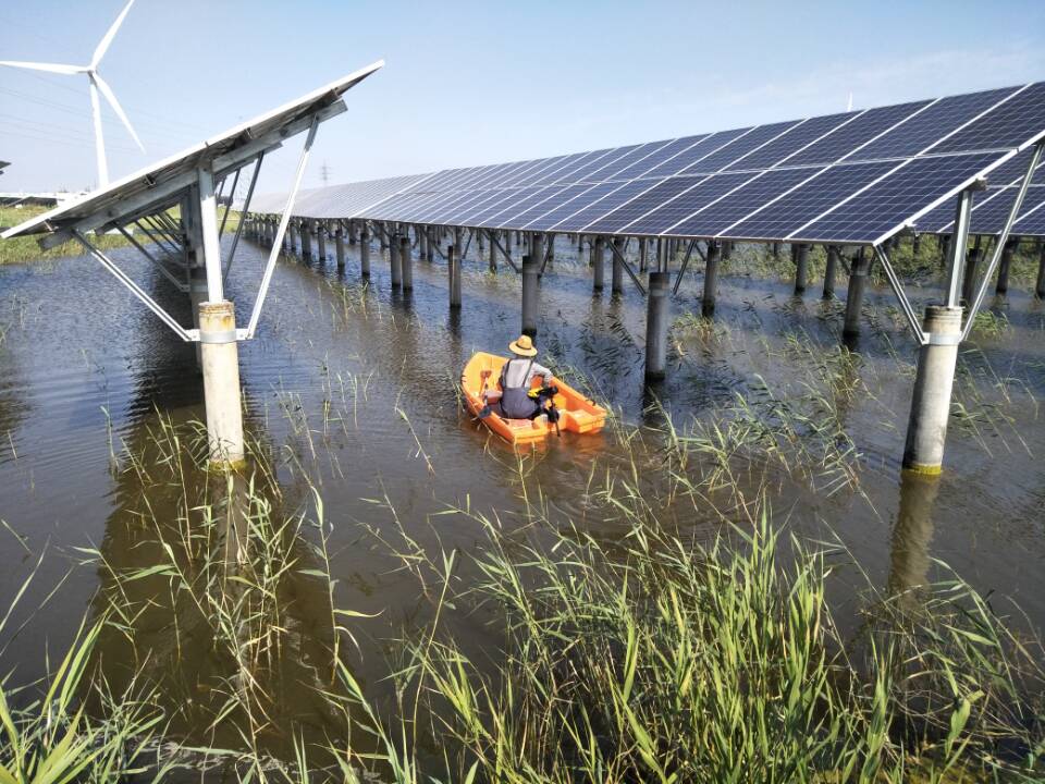 首页-PA真人集团有限公司官网