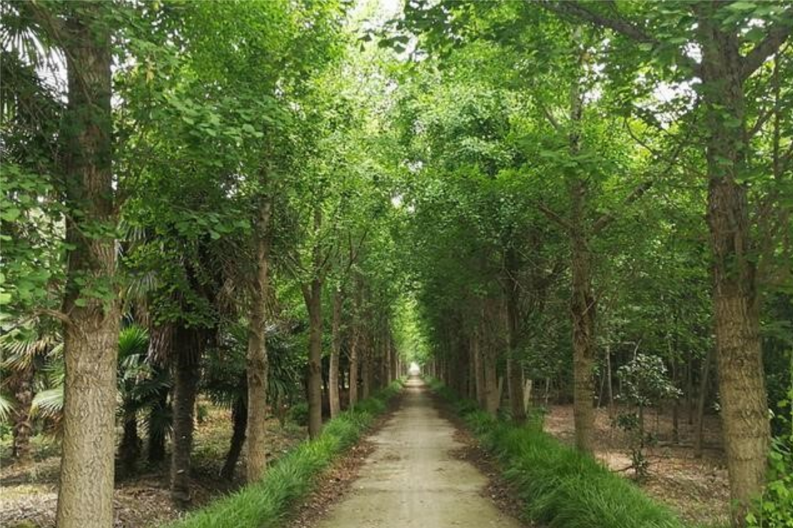 首页-PA真人集团有限公司官网